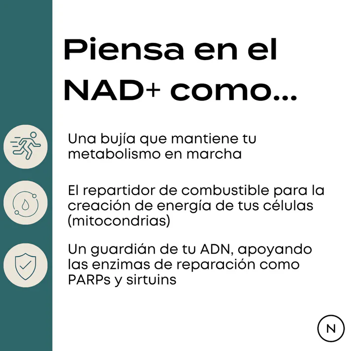 Imagen del producto 8